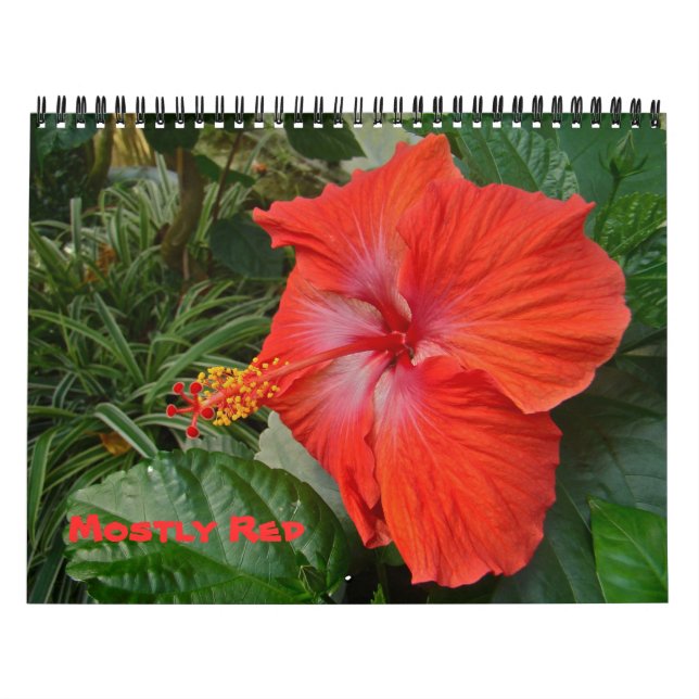 Kalender - mest rött (Omslag)