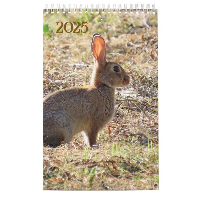 Kalender met afbeeldingen van de natuur (Omslag)