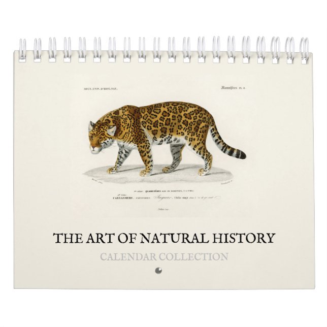 KALENDER: NATURHISTORIENS ART KALENDER (Omslag)