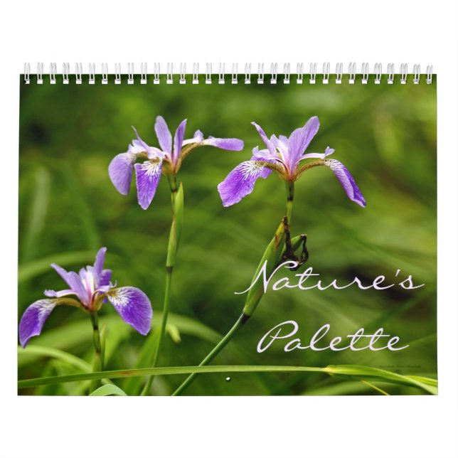 Kalender - naturpalett (Omslag)