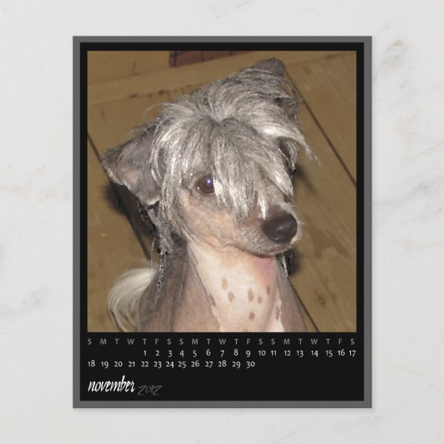 Kalender november 2012 (Framsida)