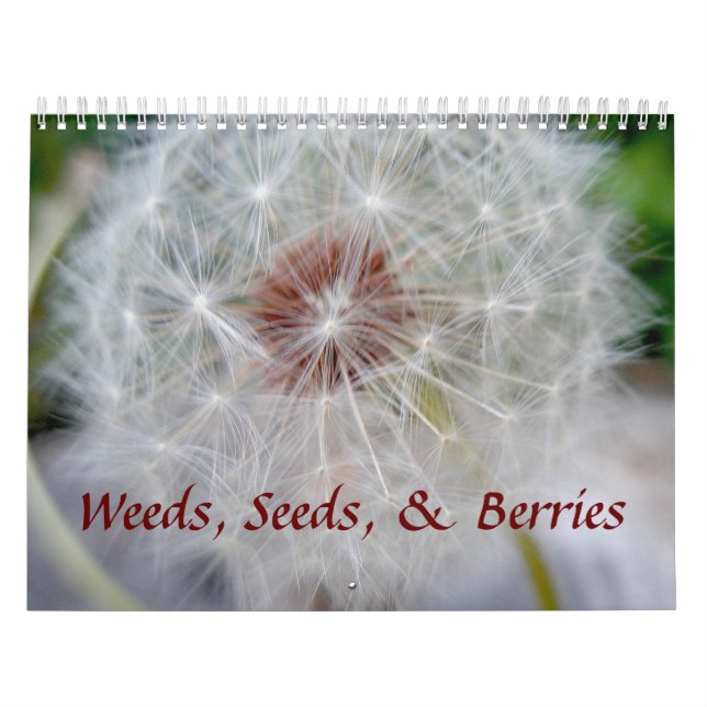 Kalender - Ogräs Seeds & Berries (Omslag)