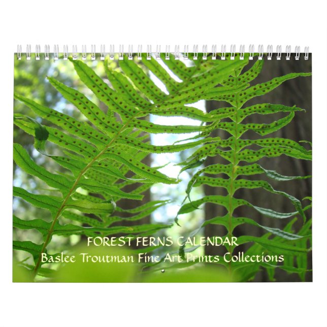 KALENDER ORMBUNKAR Kalender Redwood Skog Ormbunksv (Omslag)