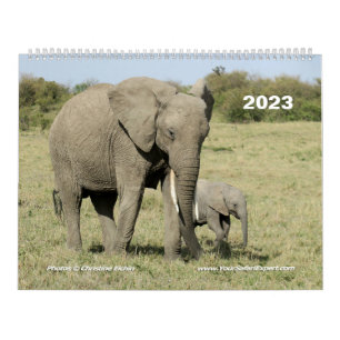 Kalender över afrikanska djur i öster (två sidor)