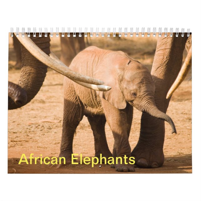 Kalender över afrikanska elefanters mur (Omslag)