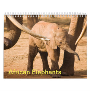 Kalender över afrikanska elefanters mur