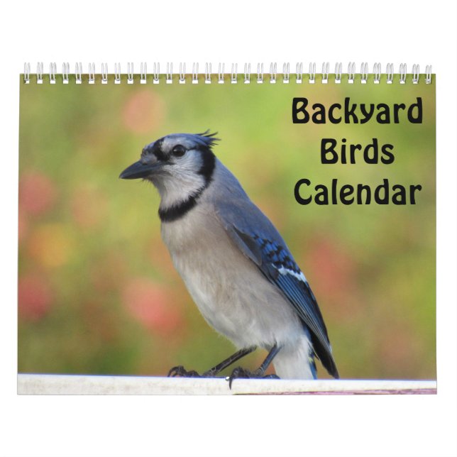 Kalender över bakgårdshönor (Omslag)