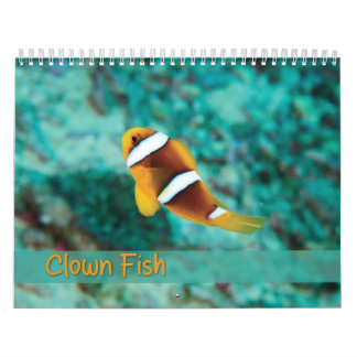 Kalender över beständig fisk - Anemone Fish