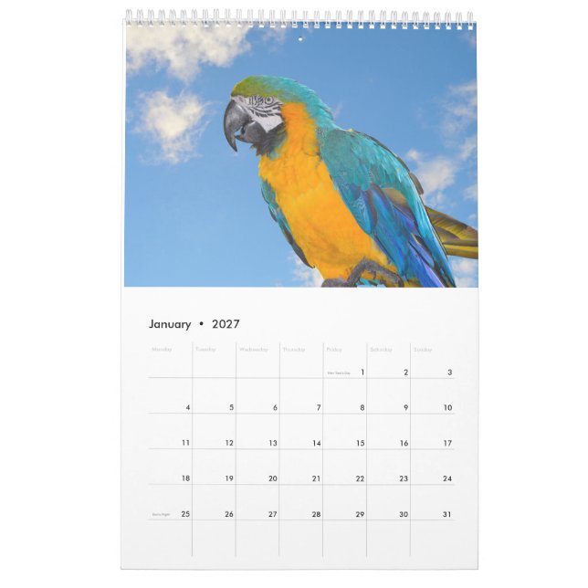 Kalender över blandade djur och fåglar (Jan 2027)
