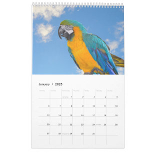 Kalender över blandade djur och fåglar