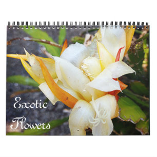 Kalender ÖVER EXOTISKA FLÖDEN
