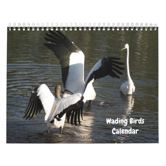 Kalender över fågelfåglar (Omslag)
