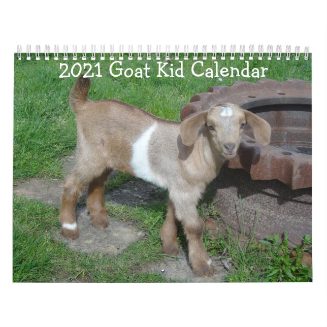 Kalender över get Baby (Omslag)