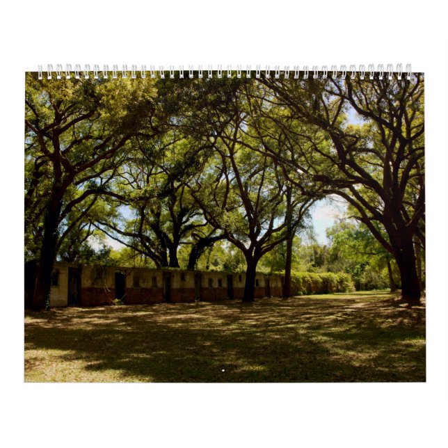 Kalender över Pawleys Island Large Wall (design 4) (Omslag)