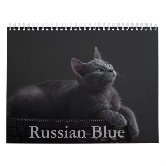 Kalender över ryska blå katt (Omslag)