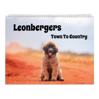 Kalender över staden till Land Leonbergers