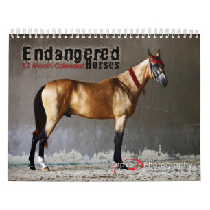 Kalender över utrotningshotade hästraser