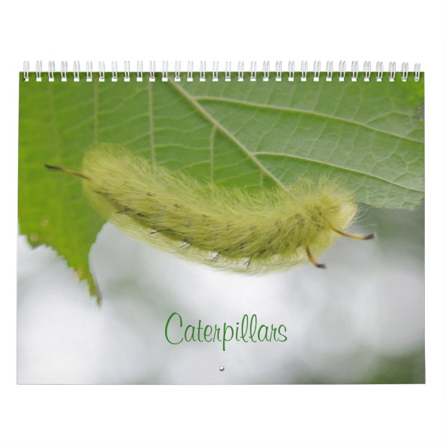 Kalender över vattenpelare (Omslag)