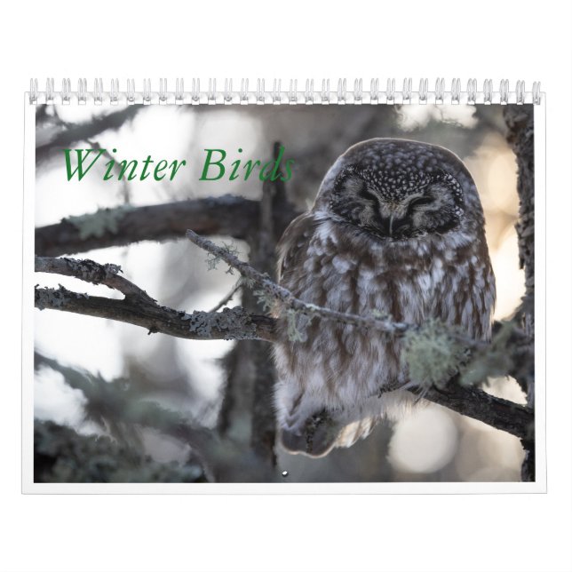 Kalender över vinterfåglar (Omslag)