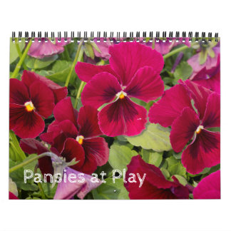 Kalender ~ Pansier vid uppspelning