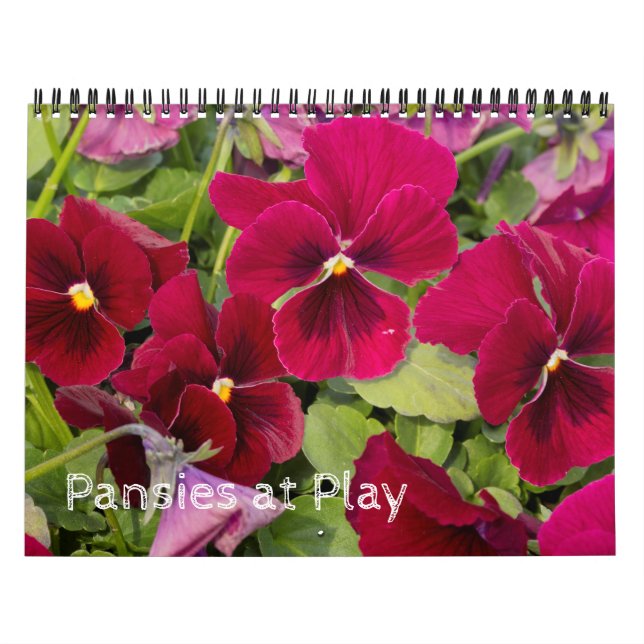 Kalender ~ Pansier vid uppspelning (Omslag)