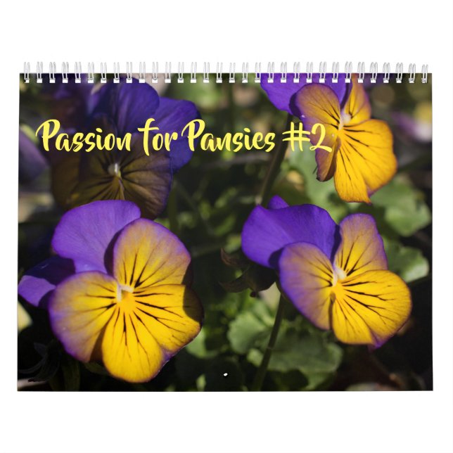 Kalender ~ Passion för paneler #2 (Omslag)