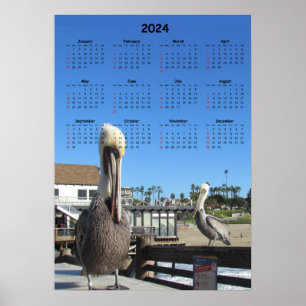 Kalender - pelikaner i Pier 2024 Poster
