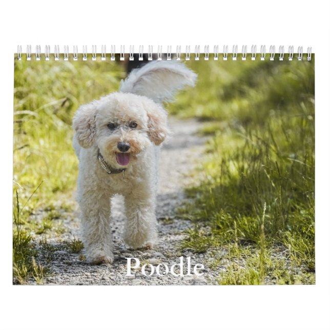 Kalender pudel (Omslag)
