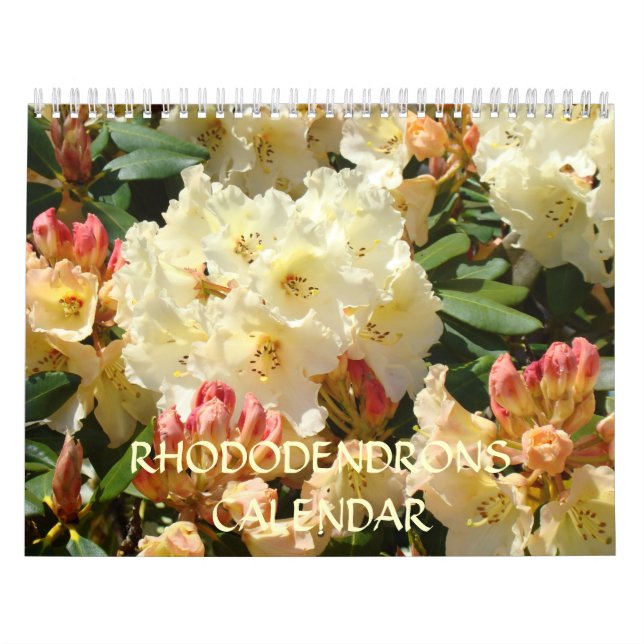 KALENDER Rhododendrons Rhodior KONTORS PRESENT (Omslag)