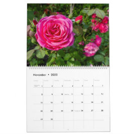 Kalender Rosa ros