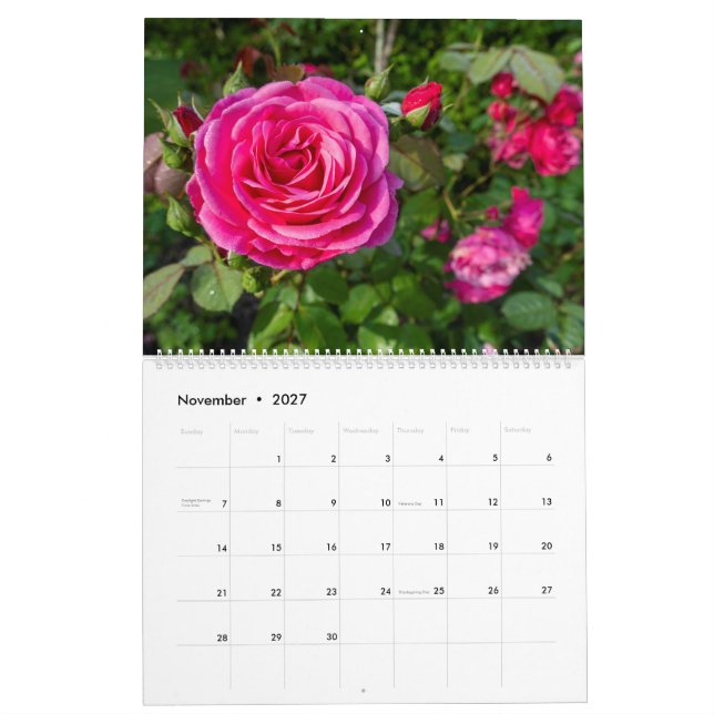 Kalender Rosa ros (Nov 2027)