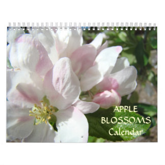 KALENDER ROSA TRÄD Äppelblommar Vår