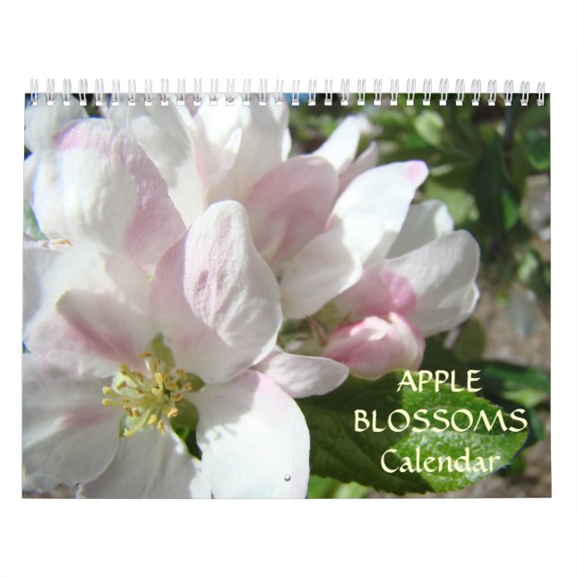 KALENDER ROSA TRÄD Äppelblommar Vår (Omslag)