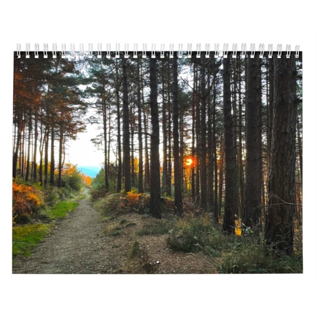 Kalender S:t Jakobsvägen (Omslag)