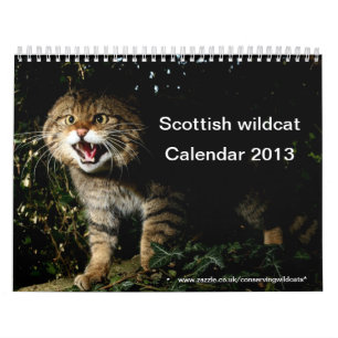 Kalender - skotsk vildkatt