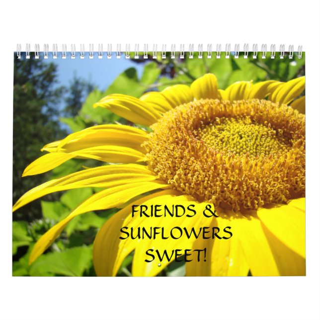 KALENDER SOLROS Blommig presentkalender (Omslag)