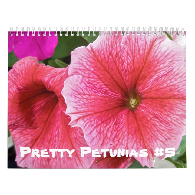 Kalender - Söt Petunias #5 (Omslag)