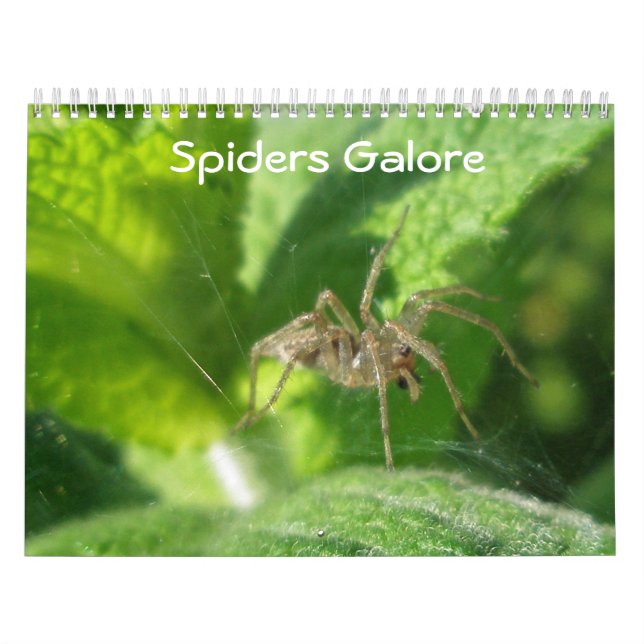 Kalender - Spiders Galore (Omslag)
