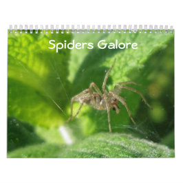 Kalender - Spiders Galore