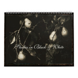 Kalender ~ Studier i svartvitt