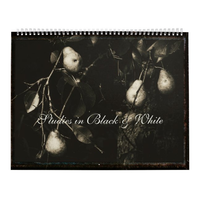Kalender ~ Studier i svartvitt (Omslag)