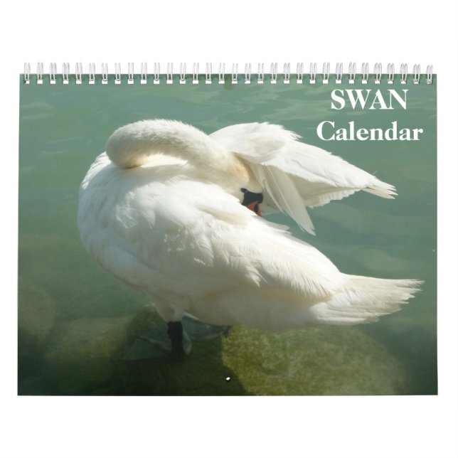 Kalender svan 2023 (Omslag)