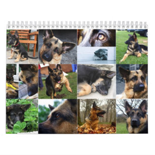 Kalender - tysk herde