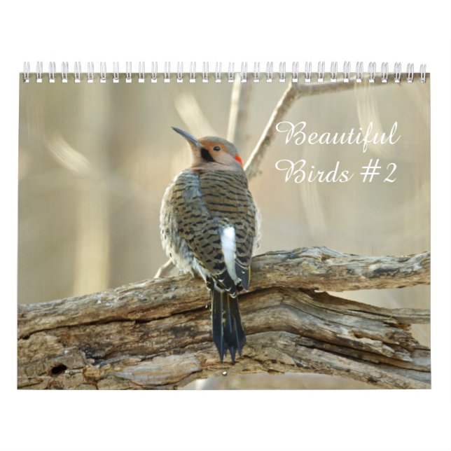 Kalender vackra fåglar #2 (Omslag)