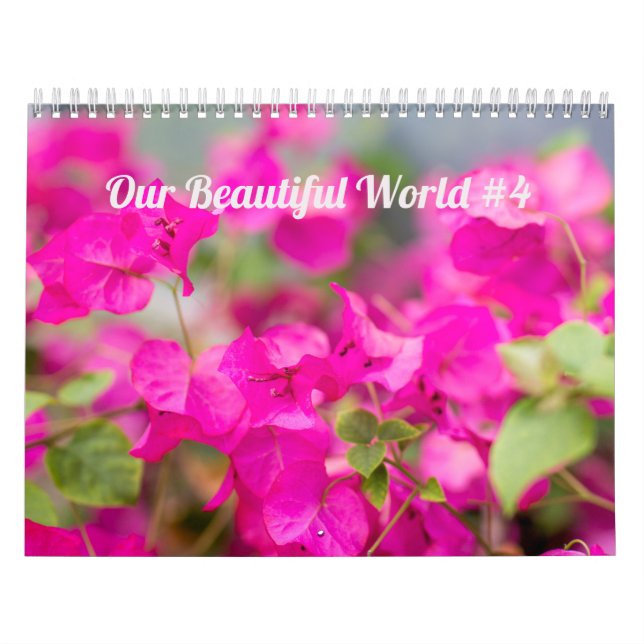 Kalender ~ Vår vackra värld #4 (Omslag)
