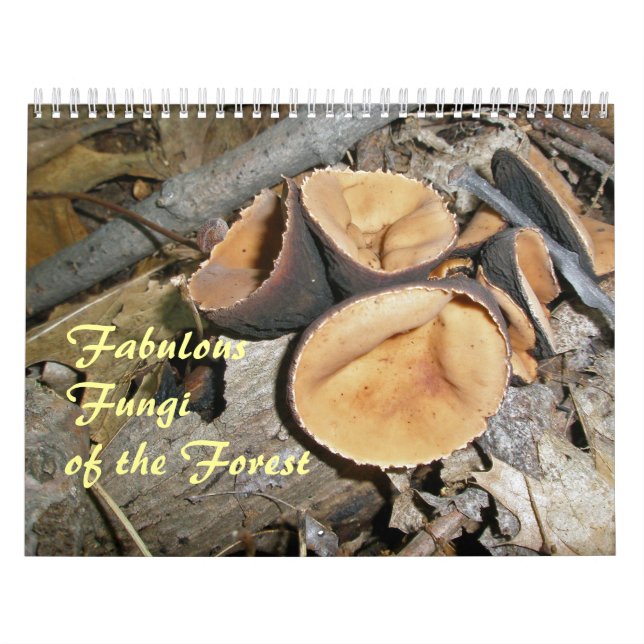 Kalender - Vävda svampar av skogen (Omslag)