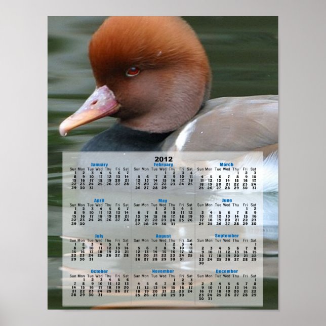 Kalender vild anka 2013 poster (Framsidan)