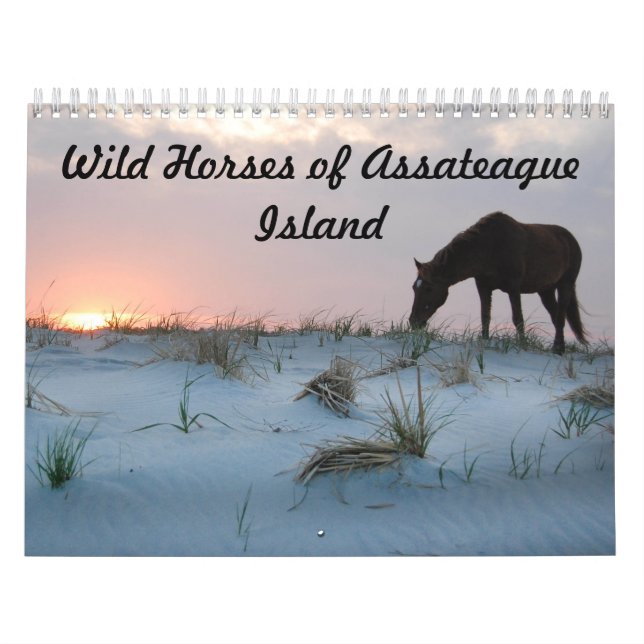 Kalender, Vild hästar från Assateague Island Kalender (Omslag)