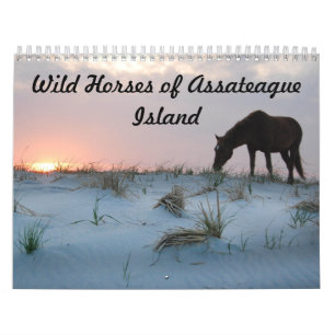 Kalender, Vild hästar från Assateague Island Kalender