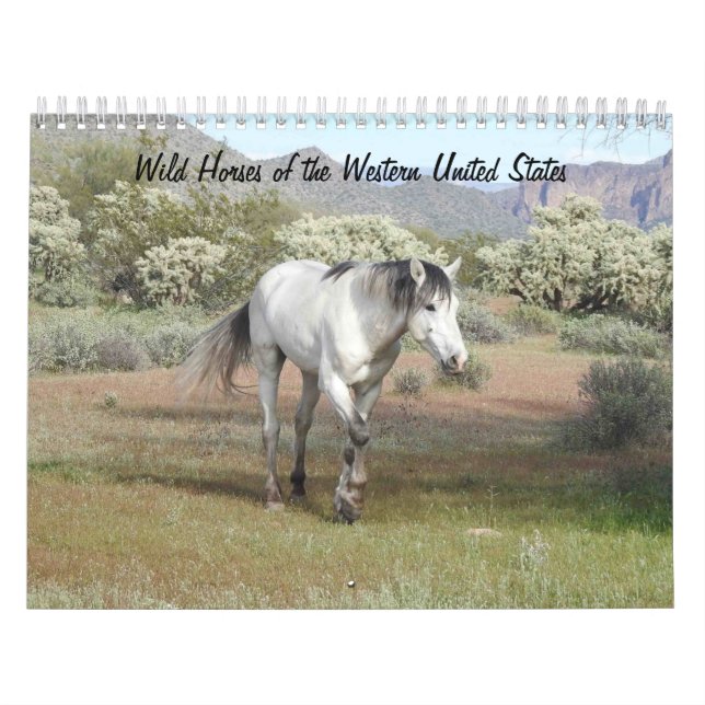 Kalender, Vild Horses of the Western United Stater Kalender (Omslag)